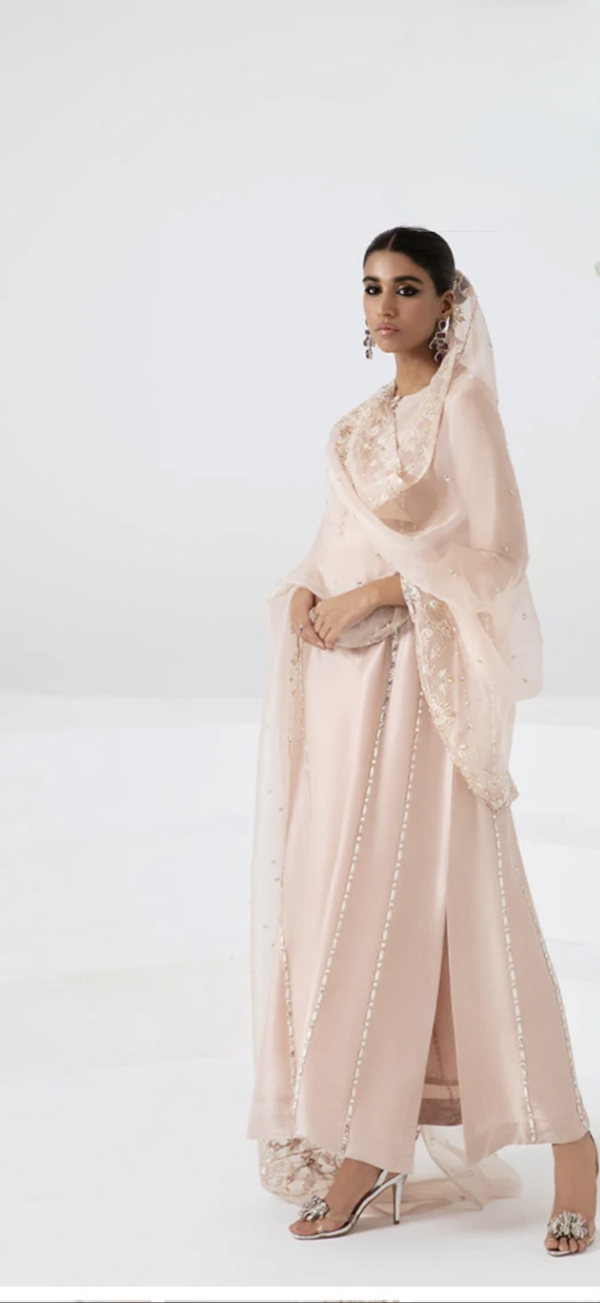 Shazia Rauf Khan -Zaria outfit