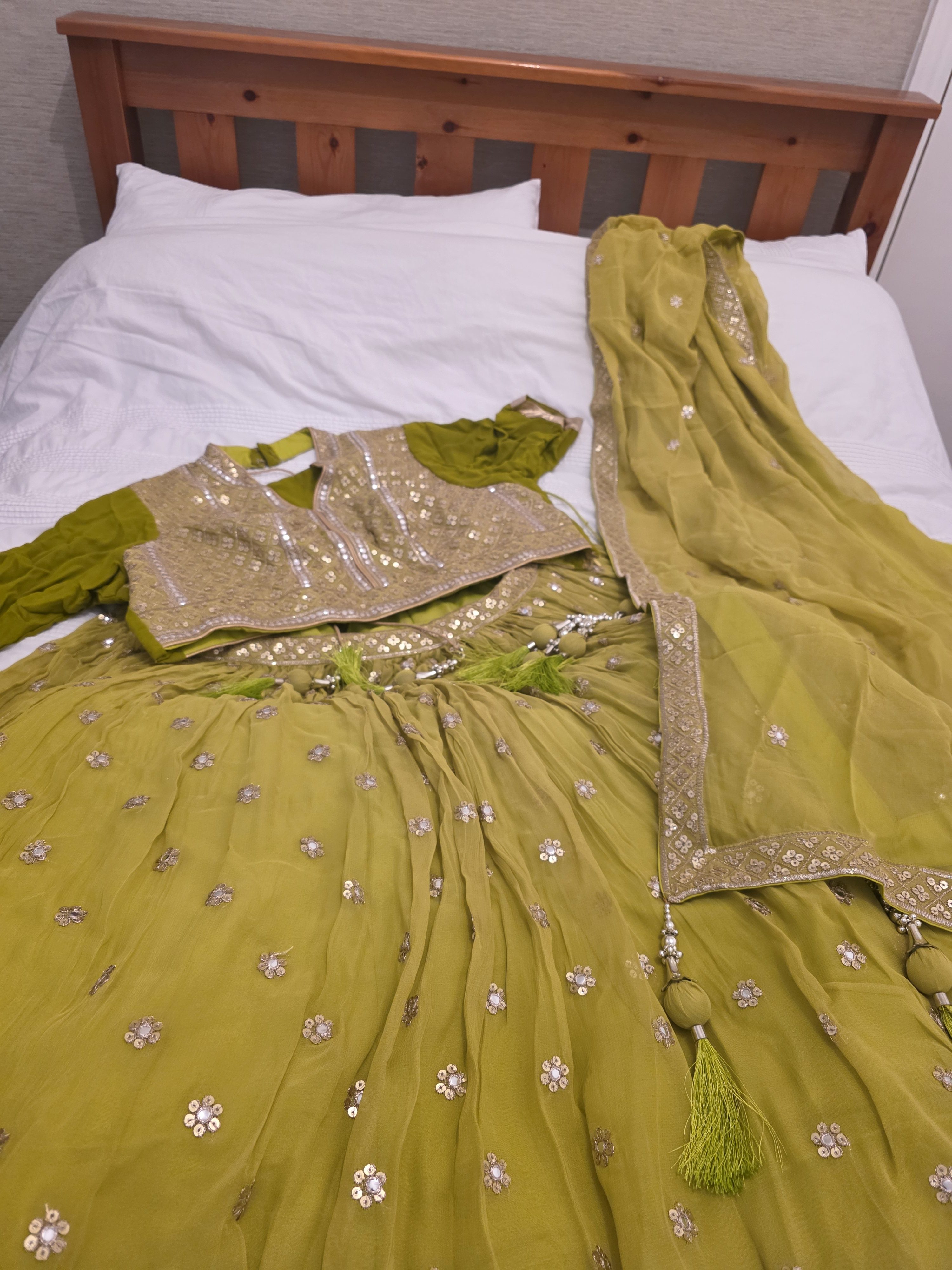 Light Green Lehenga with Gold Border - Image 2