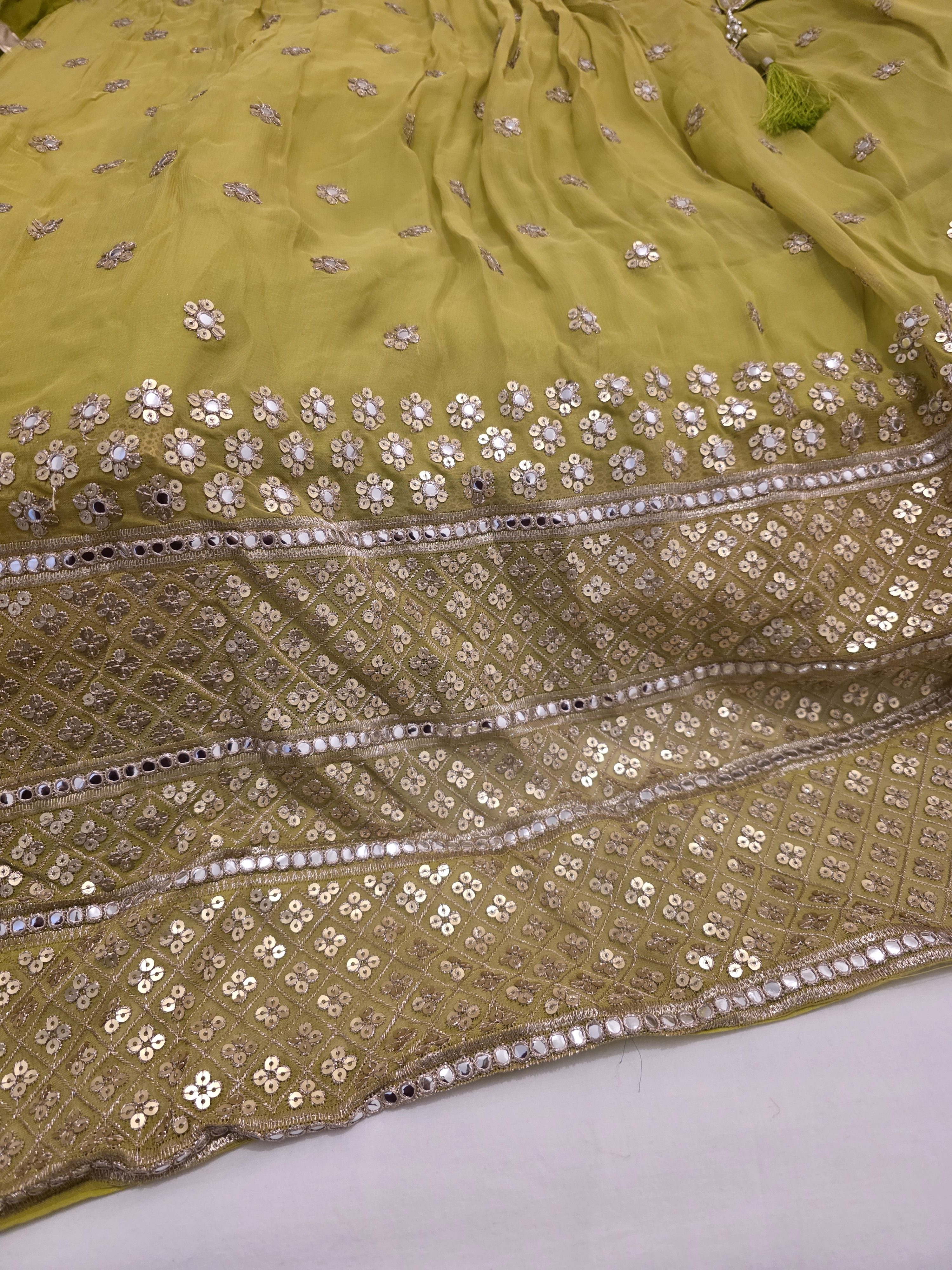 Light Green Lehenga with Gold Border - Image 5