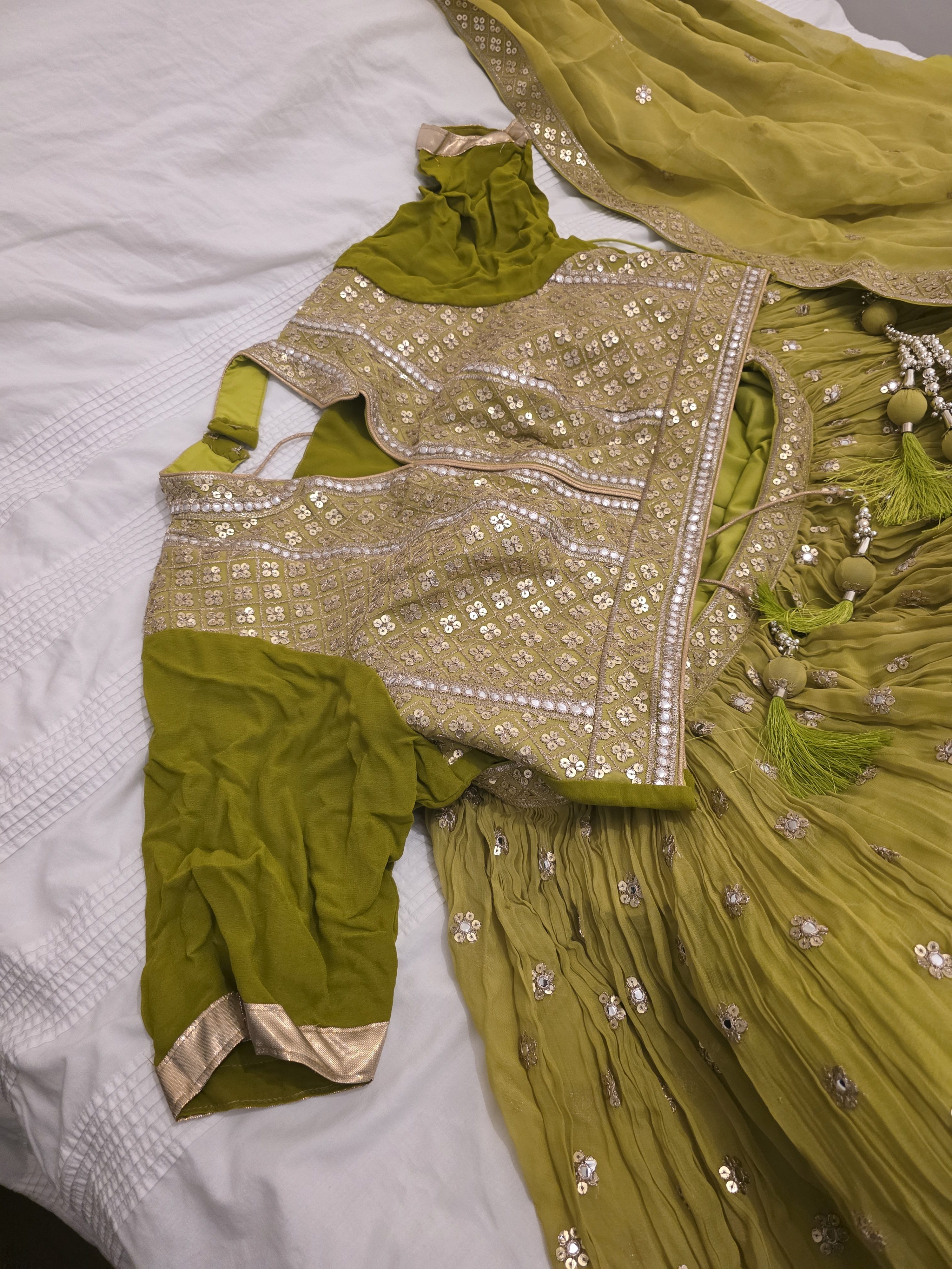 Light Green Lehenga with Gold Border - Image 4