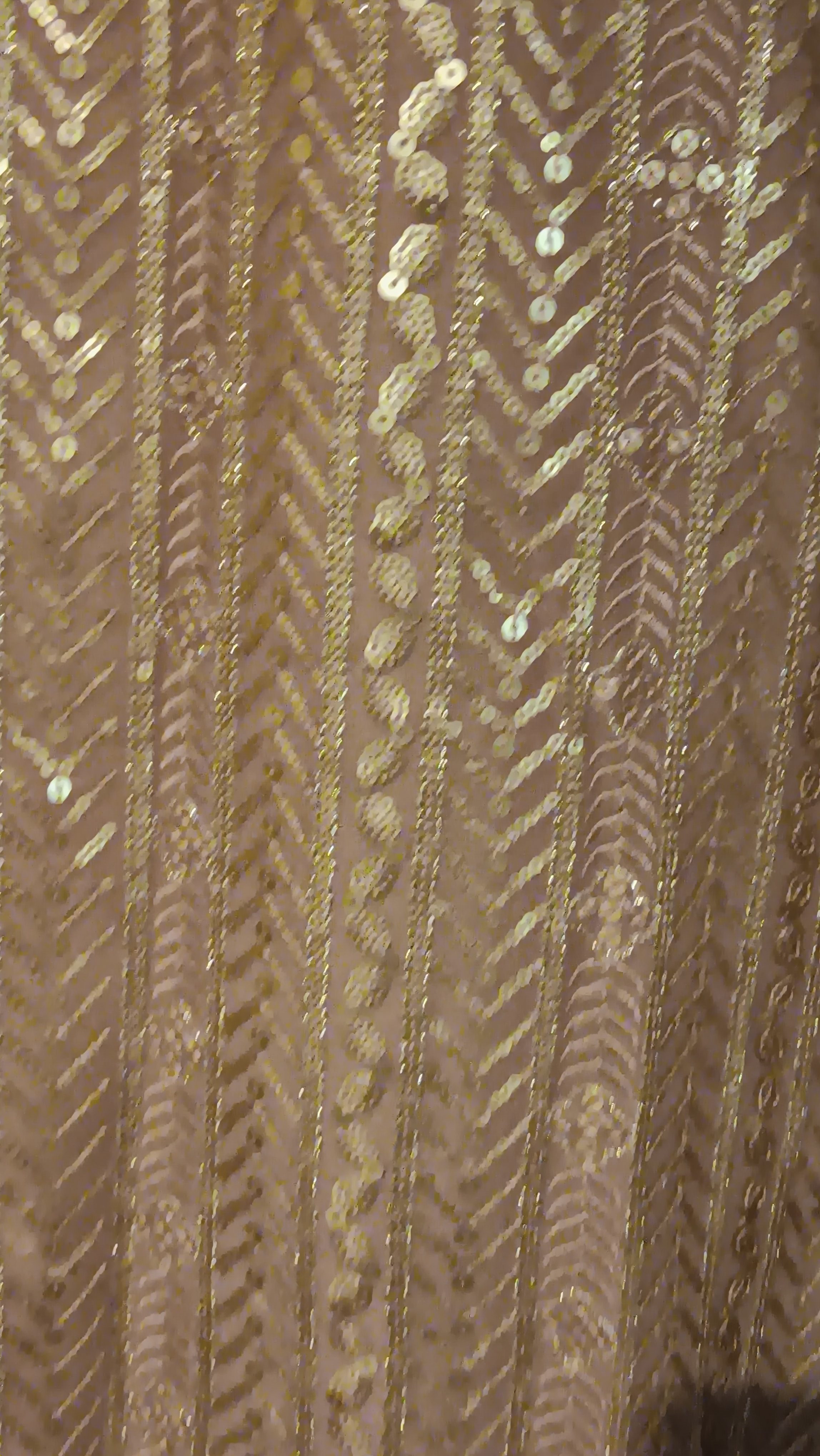 3-Piece Sequin Kameez Suit with Cream Pleated Gharara - Image 6