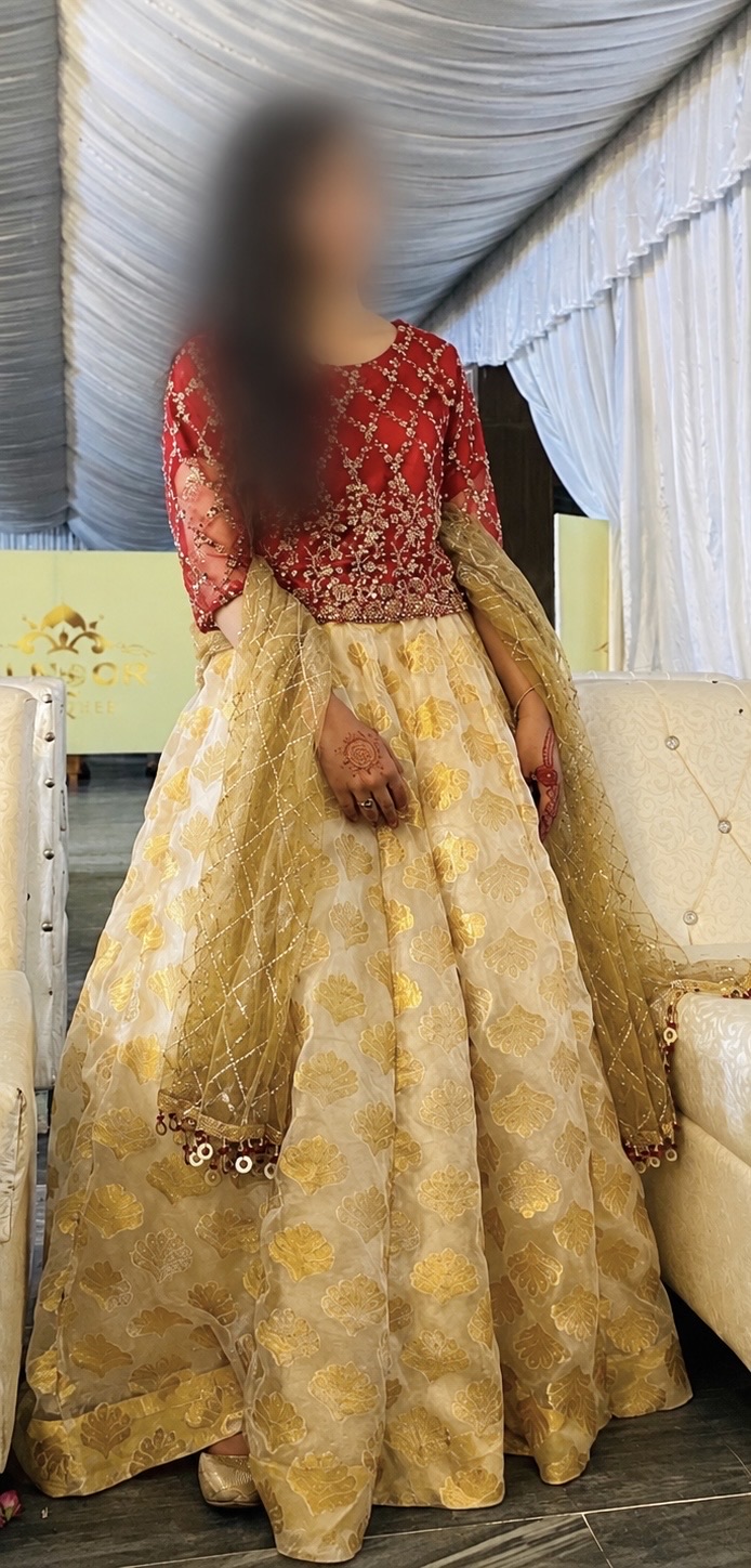 Gold Brocade Lehenga Skirt with Red Embellished Choli