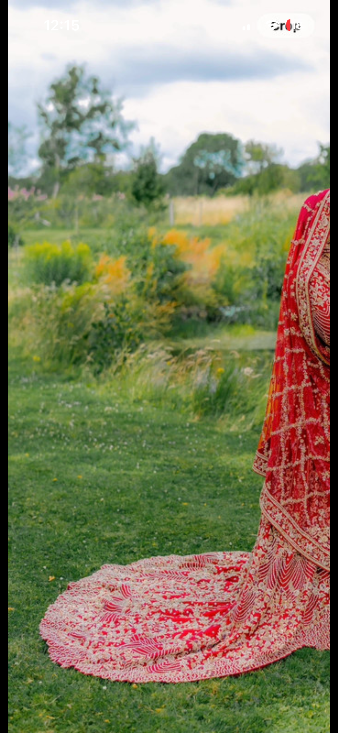 Red Bridal Lehenga with Gold Embroidery - Image 5