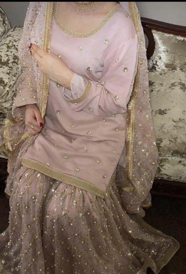 Powder Pink Sharara Set with Gold Embellishments